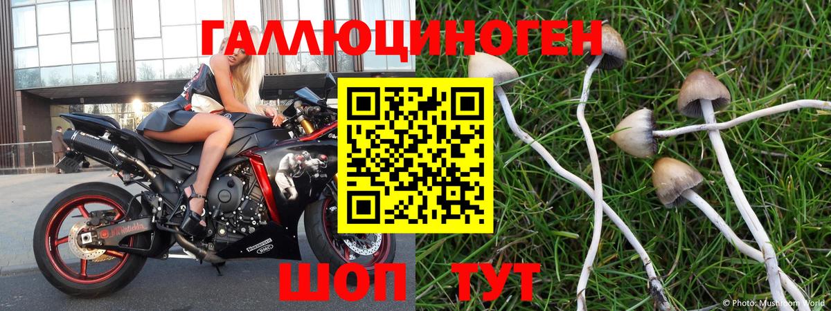 Галлюциногенные грибы мухоморы Рузаевка