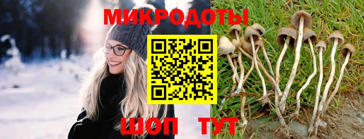 Рузаевка  Галлюциногенные грибы мицелий  Вход с VPN 